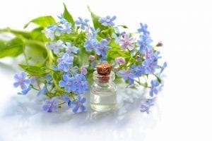 Cosmetic Oil Essential Oil  - Mareefe / Pixabay